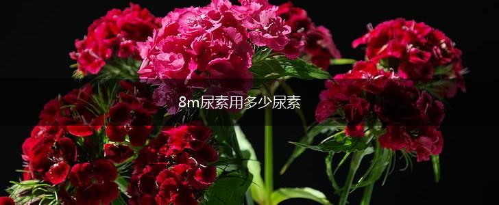 8m尿素用多少尿素,第1张
