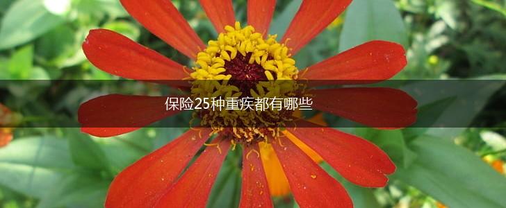 保险25种重疾都有哪些,第1张