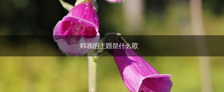 韩寒的主题是什么歌,第1张