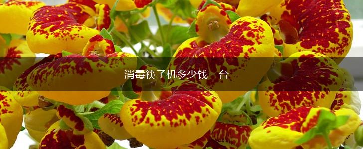 消毒筷子机多少钱一台,第1张