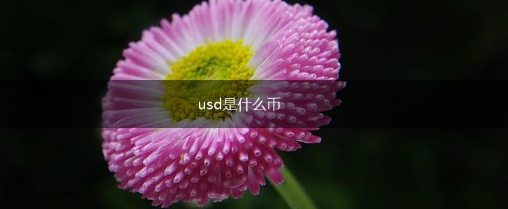 usd是什么币,第1张