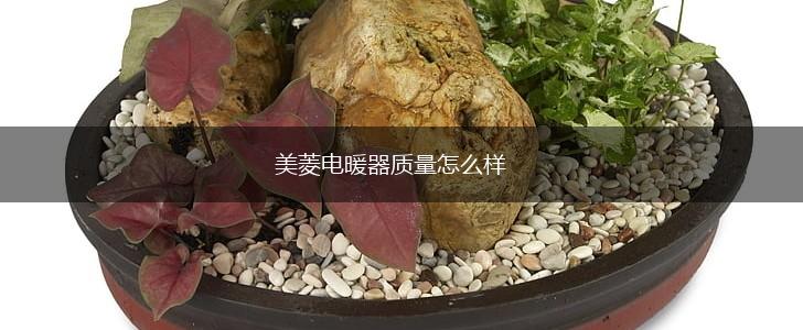 美菱电暖器质量怎么样,第1张