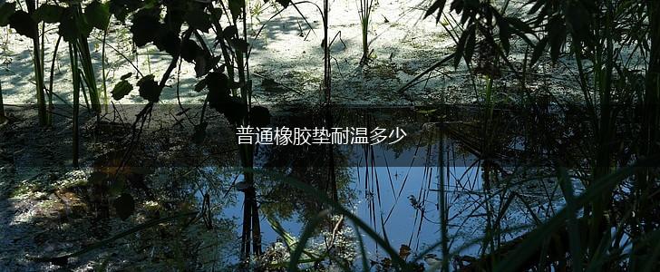 普通橡胶垫耐温多少,第1张
