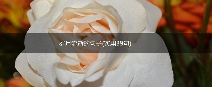 岁月流逝的句子(实用39句),第1张
