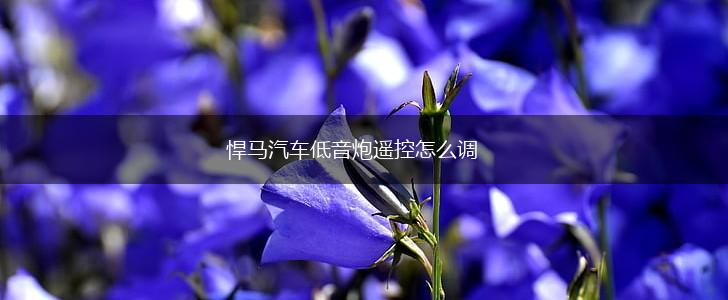 悍马汽车低音炮遥控怎么调,第1张