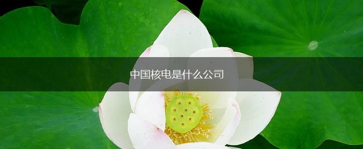 中国核电是什么公司,第1张
