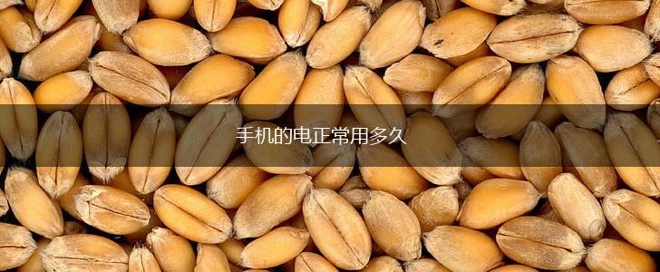 手机的电正常用多久,第1张