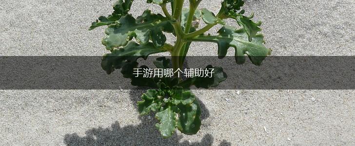手游用哪个辅助好,第1张