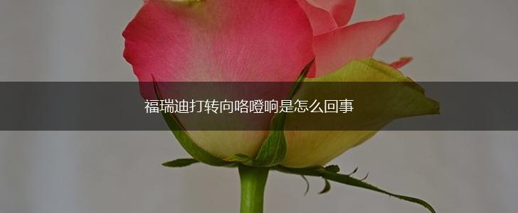 福瑞迪打转向咯噔响是怎么回事,第1张