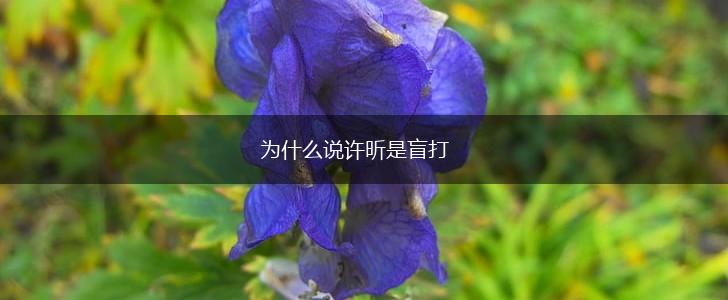 为什么说许昕是盲打,第1张