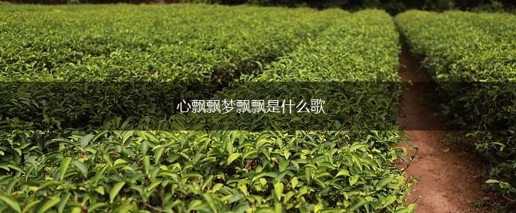 心飘飘梦飘飘是什么歌,第1张