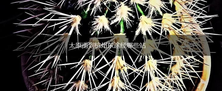 太原南到杭州东途经哪些站,第1张