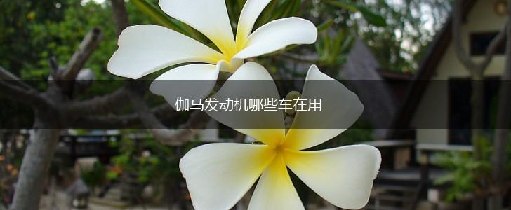 伽马发动机哪些车在用,第1张