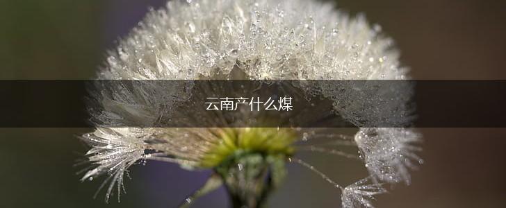 云南产什么煤,第1张