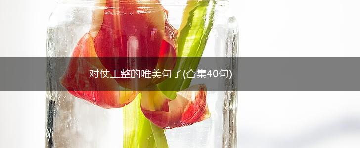 对仗工整的唯美句子(合集40句),第1张
