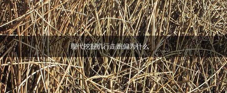 现代挖掘机行走跑偏为什么,第1张