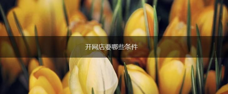 开网店要哪些条件,第1张