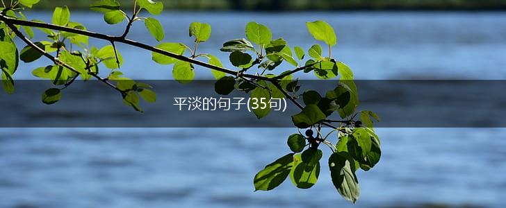 平淡的句子(35句),第1张