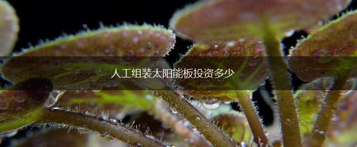 人工组装太阳能板投资多少,第1张