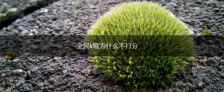 全民k歌为什么不打分,第1张