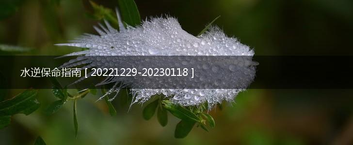 水逆保命指南 [ 20221229-20230118 ],第1张
