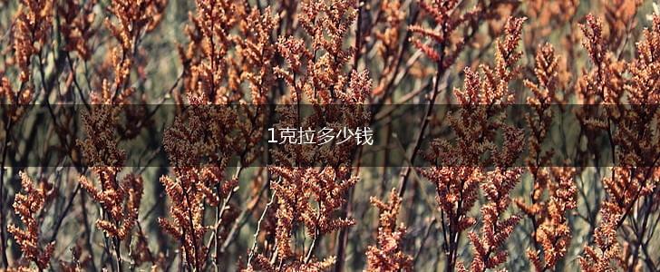 1克拉多少钱,第1张