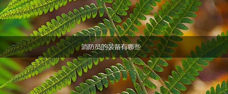 消防员的装备有哪些,第1张