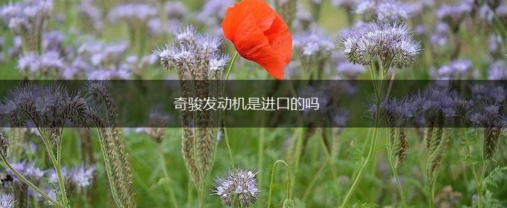 奇骏发动机是进口的吗,第1张