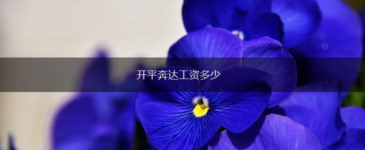 开平奔达工资多少,第1张