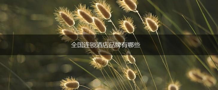 全国连锁酒店品牌有哪些,第1张