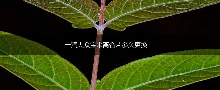 一汽大众宝来离合片多久更换,第1张