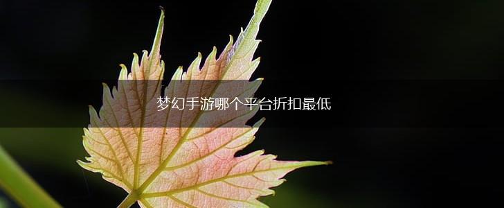 梦幻手游哪个平台折扣最低,第1张
