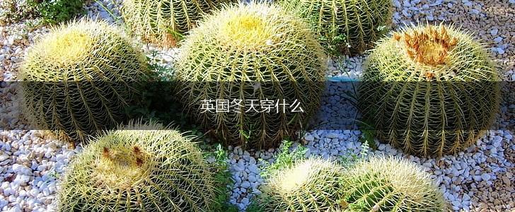 英国冬天穿什么,第1张