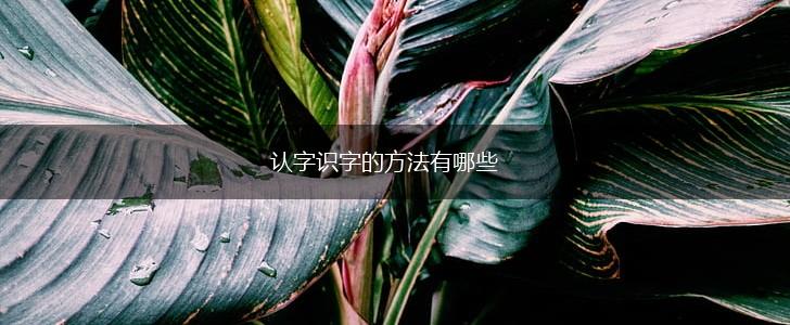 认字识字的方法有哪些,第1张