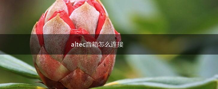 altec音箱怎么连接,第1张