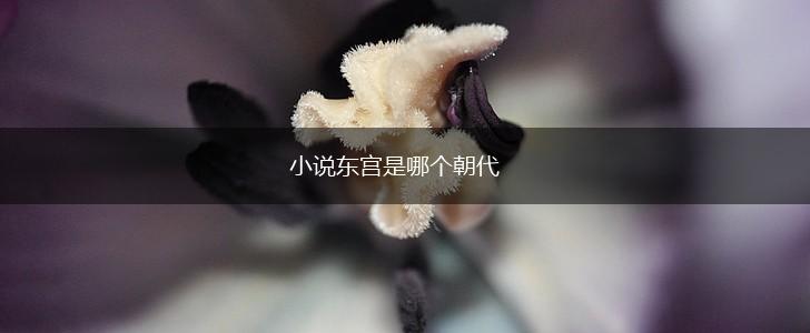 小说东宫是哪个朝代,第1张
