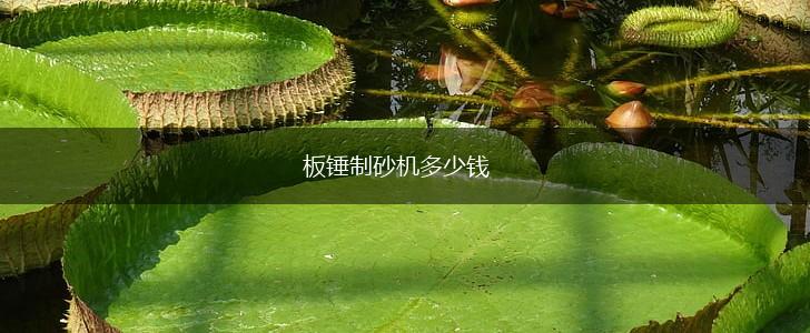 板锤制砂机多少钱,第1张
