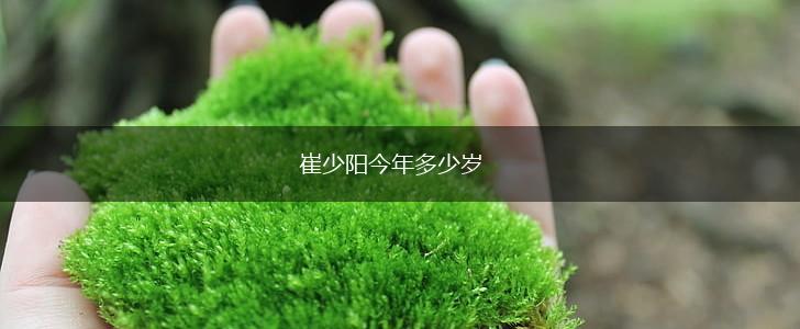 崔少阳今年多少岁,第1张
