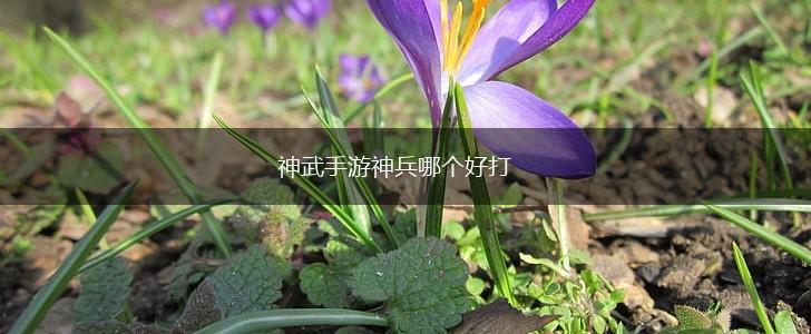神武手游神兵哪个好打,第1张