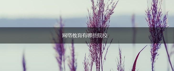 网络教育有哪些院校,第1张