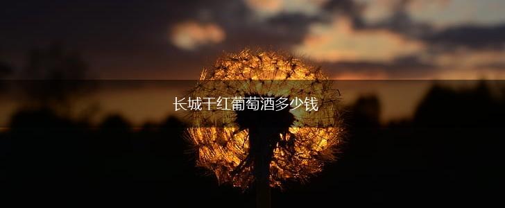 长城干红葡萄酒多少钱,第1张