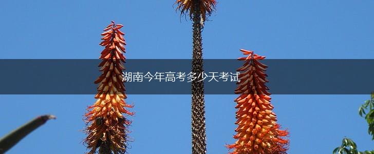 湖南今年高考多少天考试,第1张