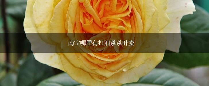 南宁哪里有打油茶茶叶卖,第1张