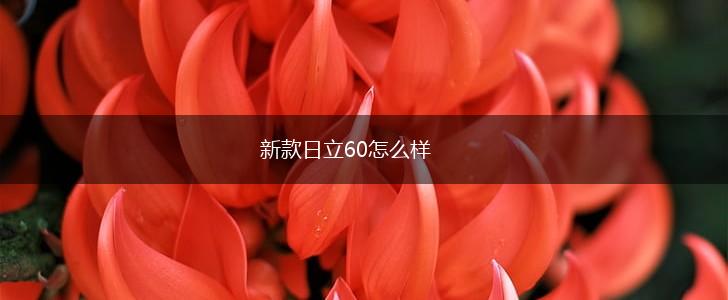 新款日立60怎么样,第1张