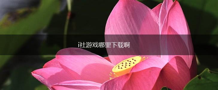 i社游戏哪里下载啊,第1张