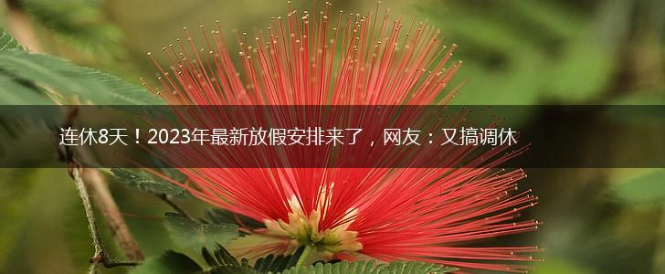 连休8天！2023年最新放假安排来了，网友：又搞调休,第1张