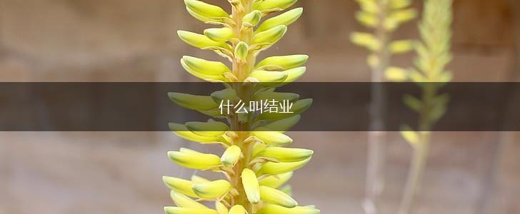 什么叫结业,第1张