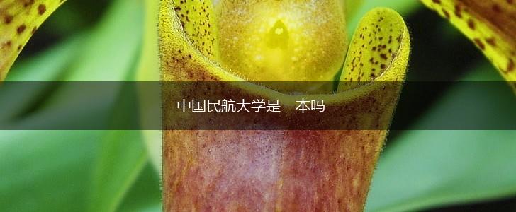 中国民航大学是一本吗,第1张