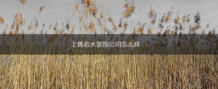 上善若水装饰公司怎么样,第1张