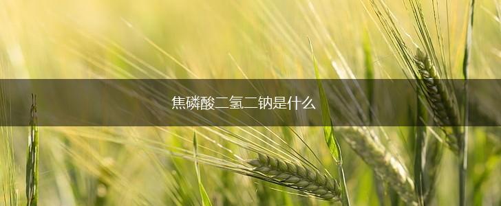 焦磷酸二氢二钠是什么,第1张